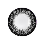 博士倫蕾絲棕兩周拋美瞳隱形眼鏡6片裝